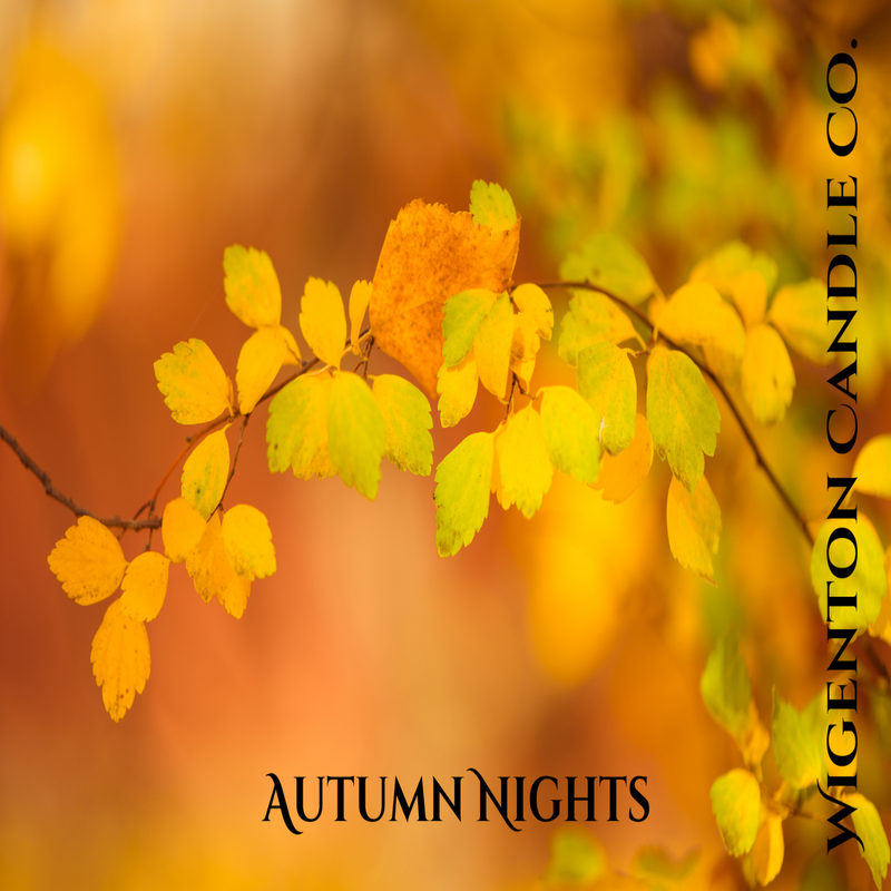 Scented Fall Candles, Fallen Leaves, Phthalate free candles, Soy Candles