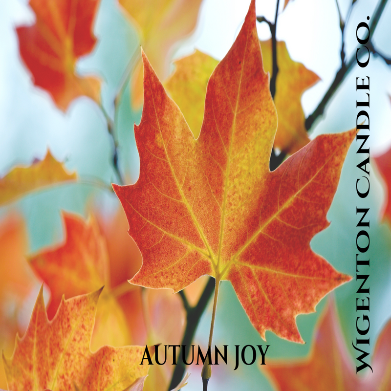 Scented Fall Candles, Cranberry Apple, Apple, Maple, Bourbon, Marmalade, Phthalate free candles, Soy Candles