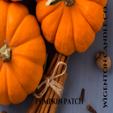 Scented Fall Candles, Pumpkin Spice, Bourbon, Maple, Phthalate free candles, Soy Candles